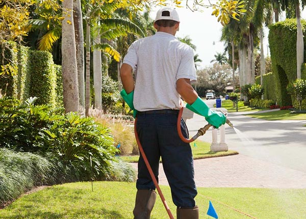 About Seneca SC Pest Control Pros